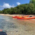 Snorkeling & Kayak Eco-Adventure in Puerto Rico - Final Thoughts: Is It Worth It?