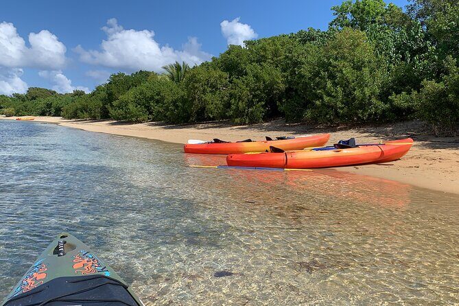 Snorkeling & Kayak Eco-Adventure in Puerto Rico - Final Thoughts: Is It Worth It?