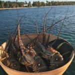 Snorkeling Paddle Private Catamaran 1/2 Day Turks and Caicos - Who Should Consider This Tour?