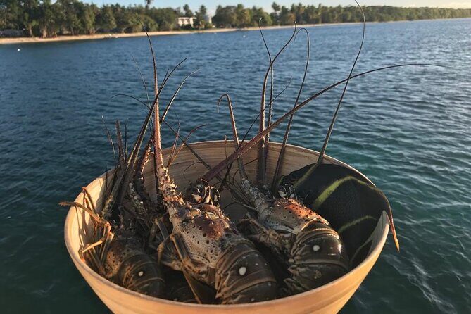 Snorkeling Paddle Private Catamaran 1/2 Day Turks and Caicos - Who Should Consider This Tour?