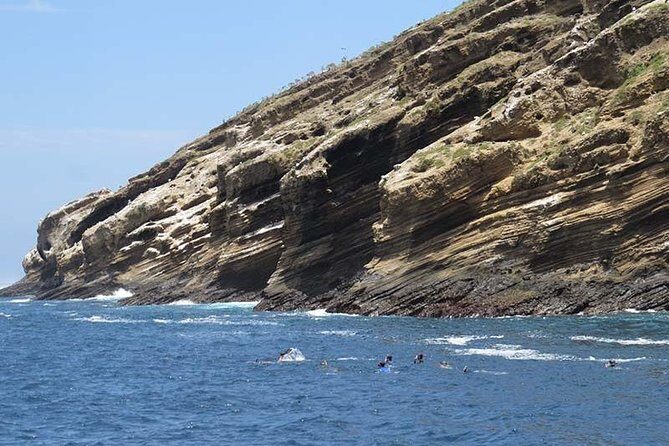 Snorkeling tour at tortuga island from Isabela - Frequently Asked Questions