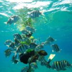 Snorkeling Tour & Sosua Beach Day - Why This Tour Works for Travelers