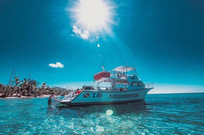 Snorkeling Tour to Vieques Island only 30 minutes away! - Who Will Love This Tour?