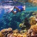 Snorkeling Water Private Activity In Montego Bay Jamaica - Final Thoughts: Who Should Consider This Snorkeling Tour?