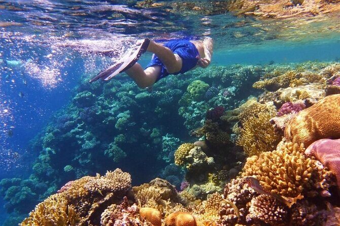 Snorkeling Water Private Activity In Montego Bay Jamaica - Final Thoughts: Who Should Consider This Snorkeling Tour?