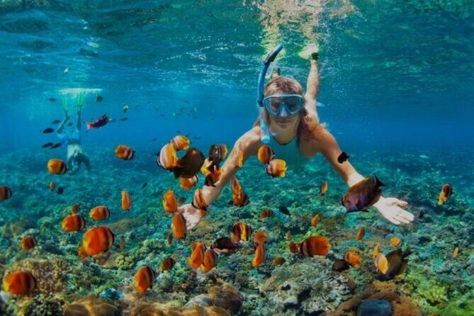 Snorkeling with Margaritaville and shops on Hipstrip activity - FAQ