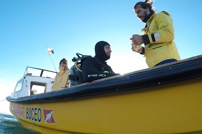 Snorkeling with Sea Lions - Final Thoughts