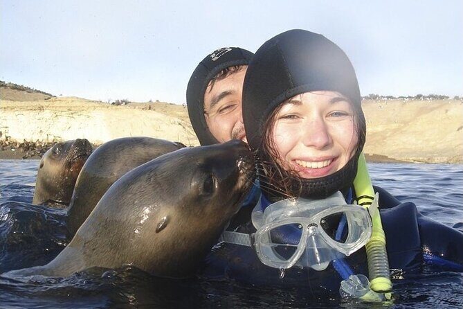 Snorkeling with Sea Lions and Wildlife Adventure - The Sum Up