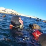 Snorkeling with Sea Lions by Madryn Buceo - The Practical Side: Logistics and Value
