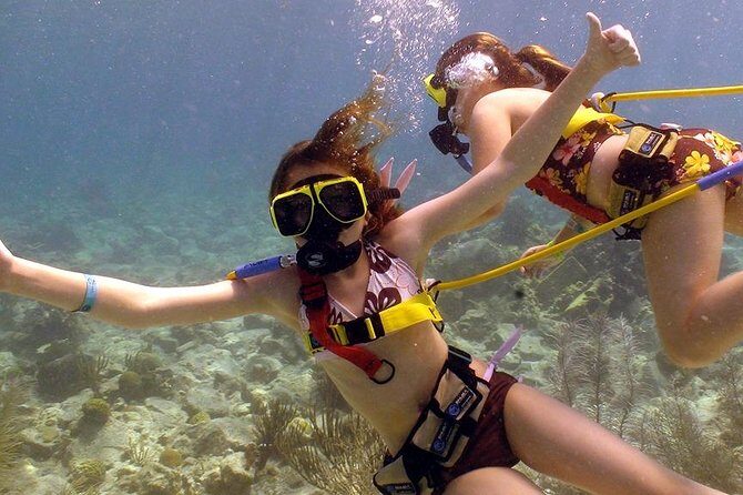 Snuba Adventure at Coral World Ocean Park - Why This Tour Works for Travelers
