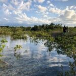 Snuba Adventure at Emerald Reef - Final Thoughts