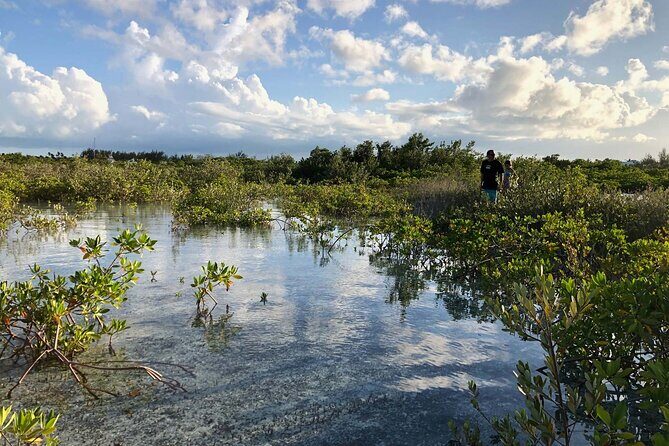 Snuba Adventure at Emerald Reef - Final Thoughts