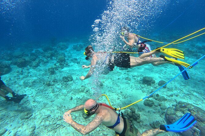SNUBA Adventure in Curacao - Guided Shallow Dive - Who Should Consider This Tour?
