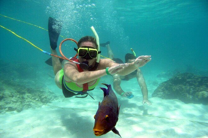 Snuba Snorkelking Parasailing and Catamaran Pack - The Authentic Experience