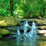 Soberania National Park Day Trip from Panama City - Authentic Experiences and Tips for Travelers