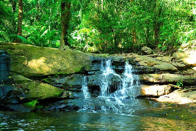 Soberania National Park Day Trip from Panama City - Authentic Experiences and Tips for Travelers