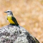 Soberania National Park Hike - Who is This Tour For?