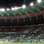 Soccer game in Rio de Janeiro with Local Supporter - FAQs about the Rio Soccer Experience