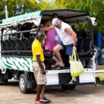 SoCoHo Eco Half Day - Mangrove Kayak & Reef Snorkeling - Why Travelers Love This Tour