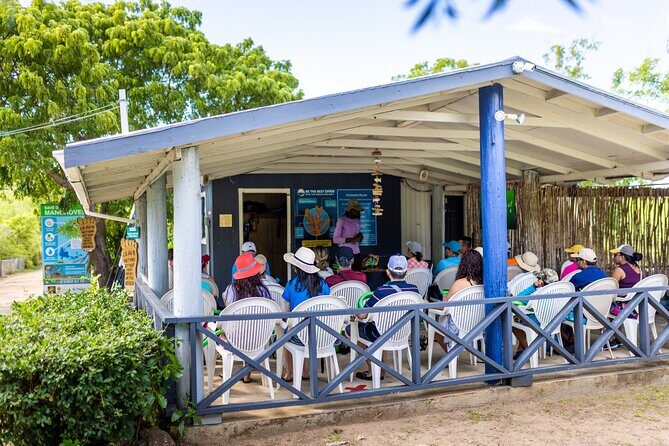 SoCoHo Eco Kayak and Snorkel Tour - Practical Details & Tips for Your Trip