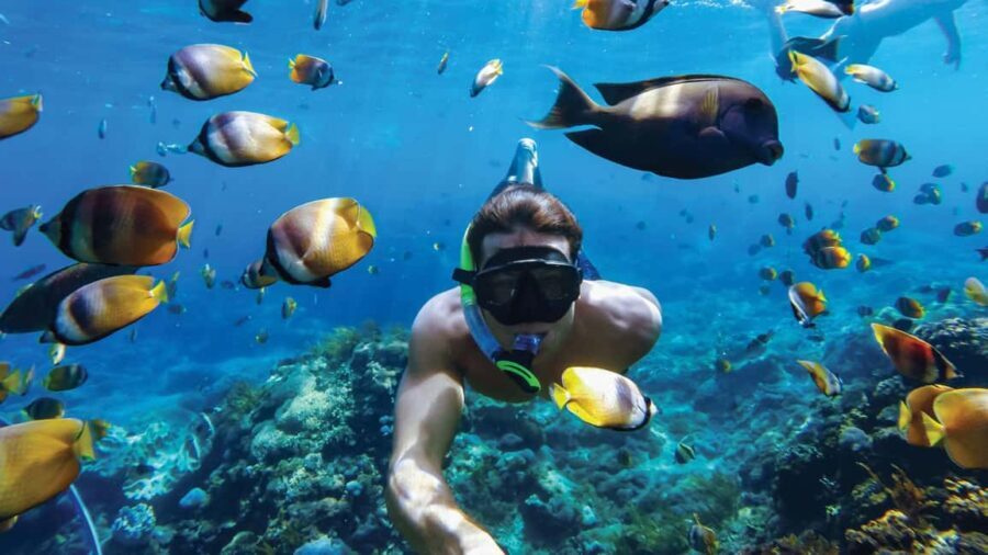 Sosúa: Catamaran Cruise with Snorkeling, Lunch, & Drinks - What Real Travelers Say