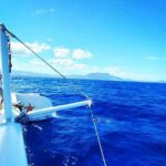 Sosua Catamaran Excursion - Sailing and the Atmosphere on Deck