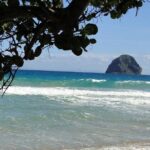 South Caribbean Tour in Martinique - How the Tour Works: Transportation and Timing