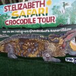 South Coast Tour to YS Falls, Black River Safari and Appleton Rum - FAQ