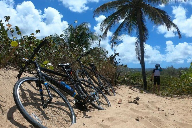 South East Sunrise (or later) E-Bike Tour - In Depth: Itinerary Breakdown