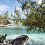 South Long Island 3 Hour Guided Land Tour - Who Will Love This Tour?