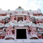 South Tour (Package) to Trinidad Pitch Lake & Datatria Temple - Practical Details and Tips