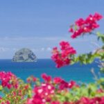 South West: rum tasting, quaint villages, beach - Authentic Experiences and Practical Benefits