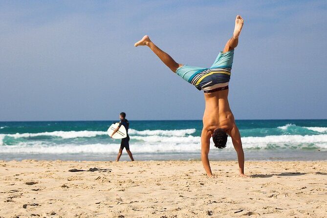 Southcoast - Private Full-Day tour - Who Is This Tour Best For?