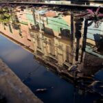 Southern Buenos Aires Immersive Bike Tour - Who will love this experience?