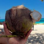 Southern VIP Route + Aguilas Bay: All Inclusive 2-Day Tour - FAQs