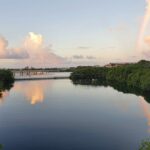 Spanish Lagoon Mangrove Trail & Bird Watching - Practical Details and Tips