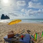 Special Picnic - A Detailed Look at the Experience