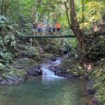 Special Private Waterfalls and Jungle Safari Tour - Why Travelers Love This Tour