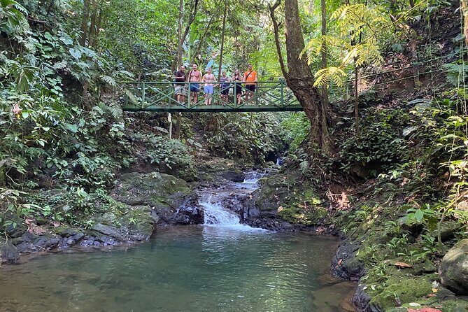 Special Private Waterfalls and Jungle Safari Tour - Why Travelers Love This Tour