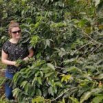 Specialty Coffee 101, History - Processing - Professional Cupping and More! - A Closer Look at the Coffee Tour Itinerary