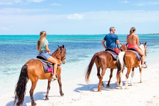 Spectacular Private Beach & Ocean Ride in Providenciales - Detailed Breakdown of the Itinerary