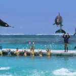 Speed Boat Adventure In Punta Cana - Final Thoughts: Who Will Love This Tour?