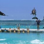 Speed Boat Extreme from Punta Cana - Frequently Asked Questions