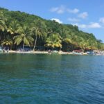 Speed Boat tour to Mangrove Point -Starfish Beach -Bocas del Drago and Birds Island - Who Should Consider This Tour?