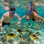 Speedboat Adventure and Snorkeling from Punta Cana - A Closer Look at the Tour Experience