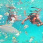 Speedboat Adventure to Snorkeling Spot and Natural Pool - Final Thoughts