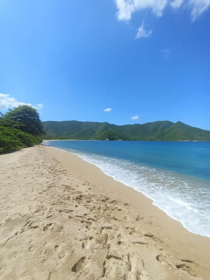 SPEEDBOAT TOUR TO TAYRONA CRISTAL BEACH - The Review in Context: Weighing the Pros and Cons