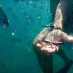 Spider Monkey & Tortuga Island Snorkeling from Tambor Costa Rica - A Deep Dive into the Experience