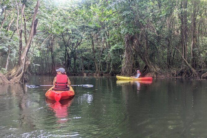 Splash Adventure Jeep and Kayak Safari - Authentic Feedback from Travelers
