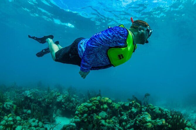 St. James Snorkel & Pizza Pi Lunch